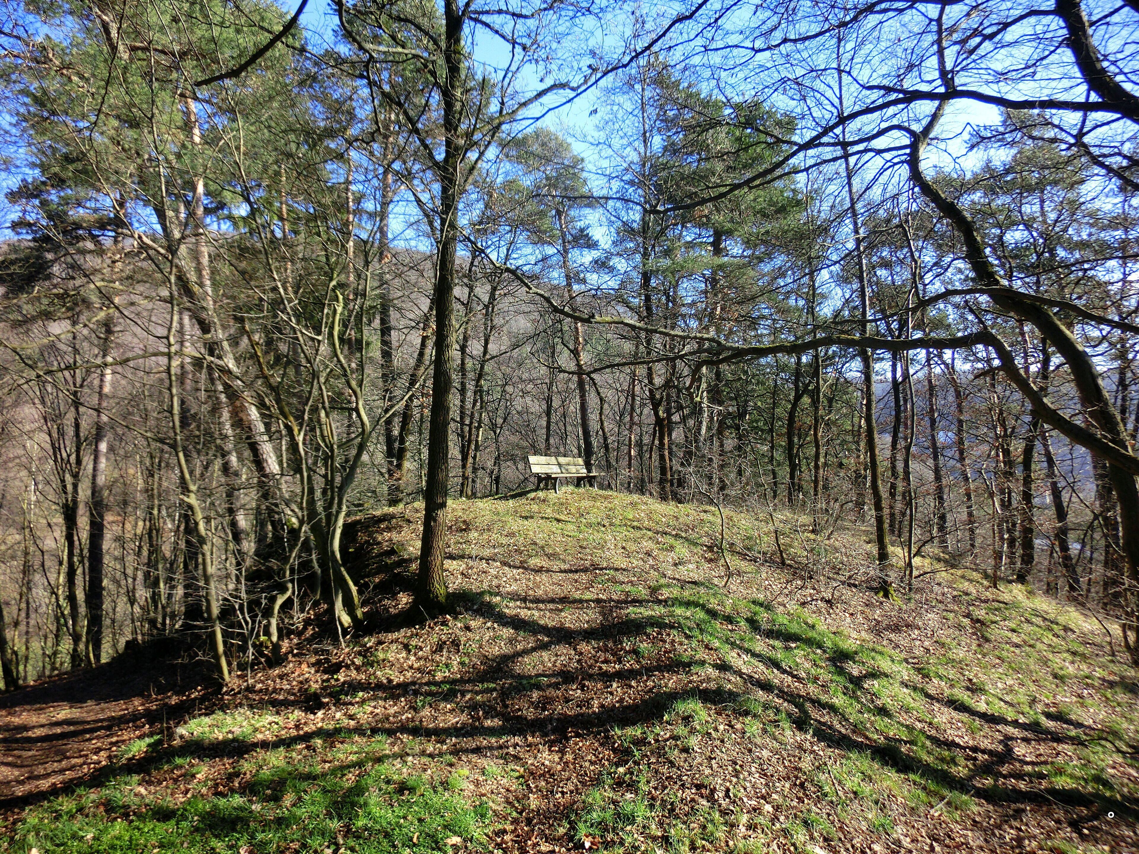 Am Südweg bei Bad Berneck