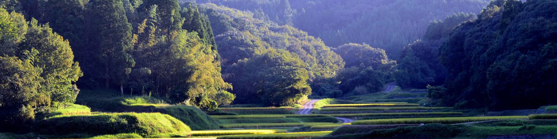 Yotsubaru countryside
