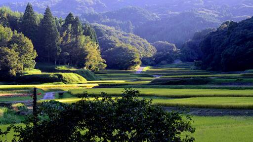 Yotsubaru countryside