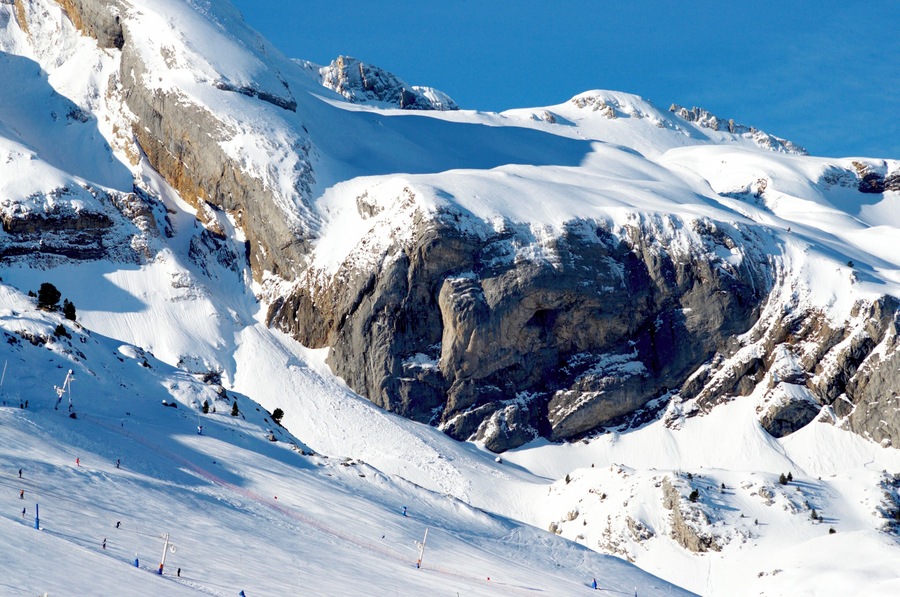 Nieve