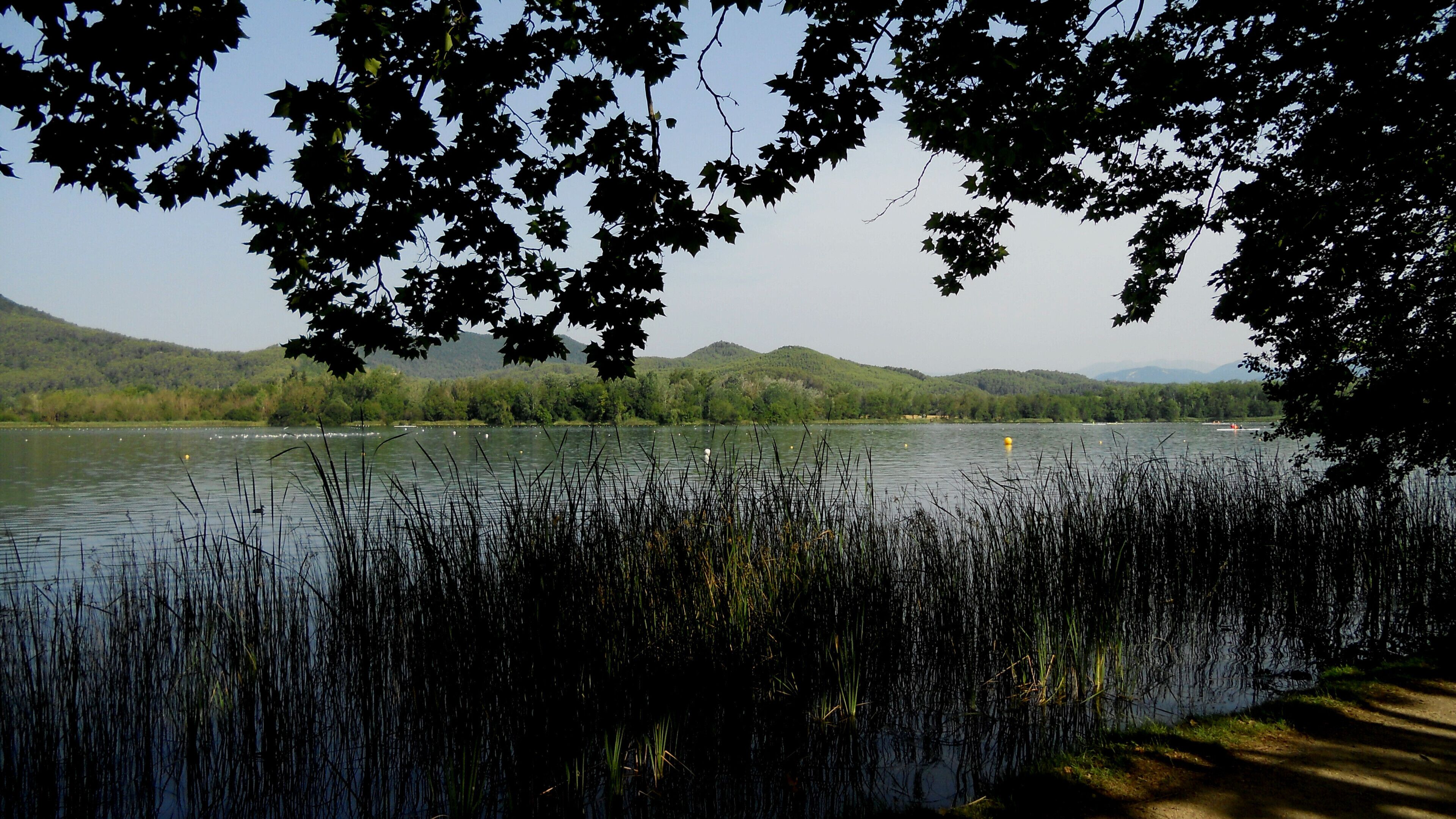 ESTANY DE BANYOLES