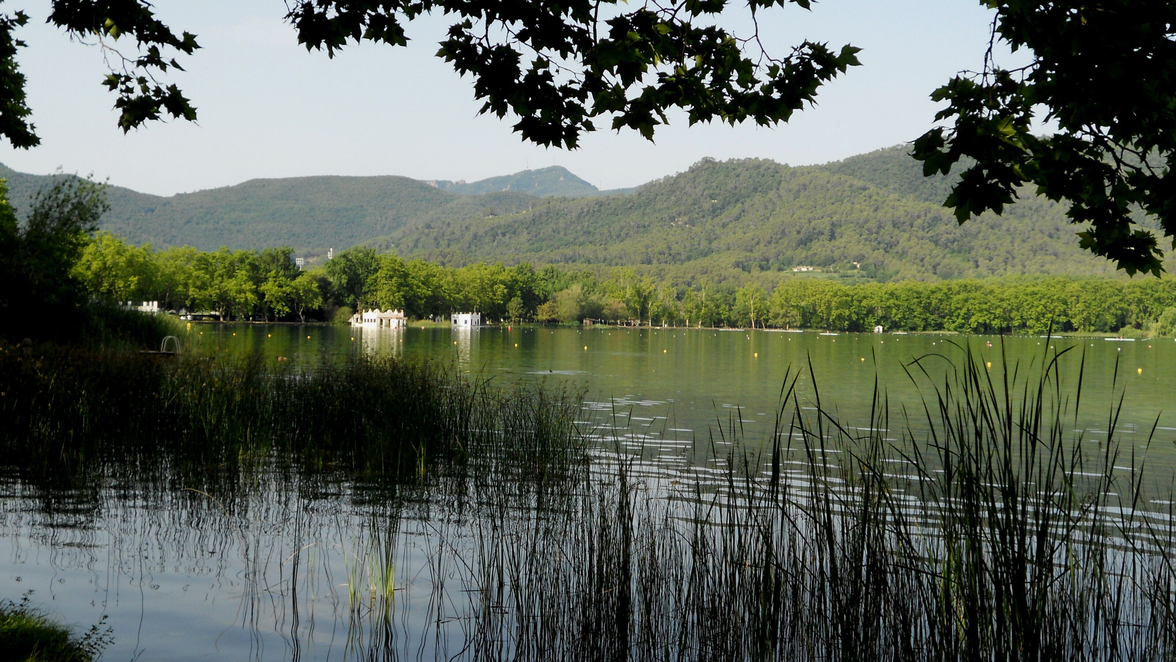 COMBINACIÓ DE VERDS (ESTANY DE BANYOLES)