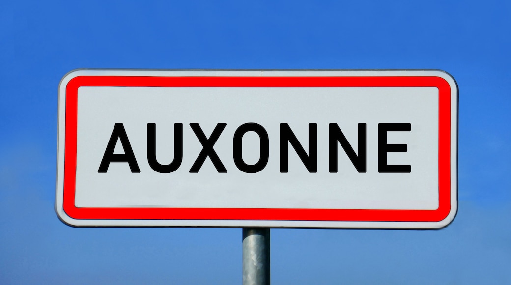 Auxonne
