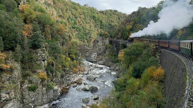 A train on a bridge over a river in a forested valley.