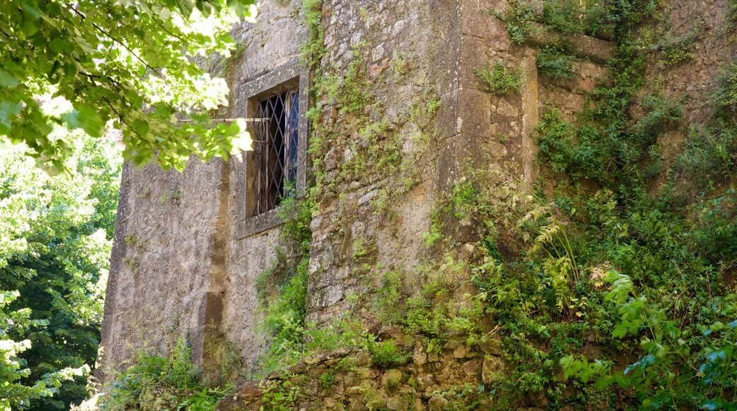 Palazzo Chigi-Albani showing heritage architecture