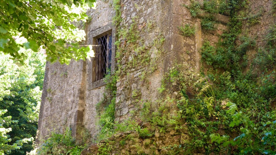Palazzo Chigi-Albani mostrando patrimonio de arquitectura
