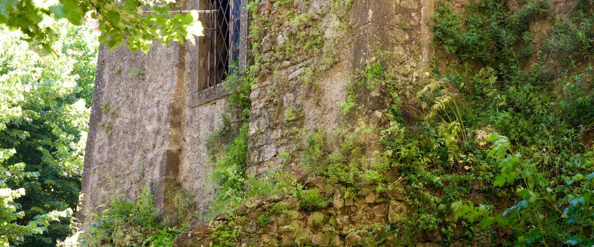 A weathered stone wall with a barred window, overgrown with greenery.