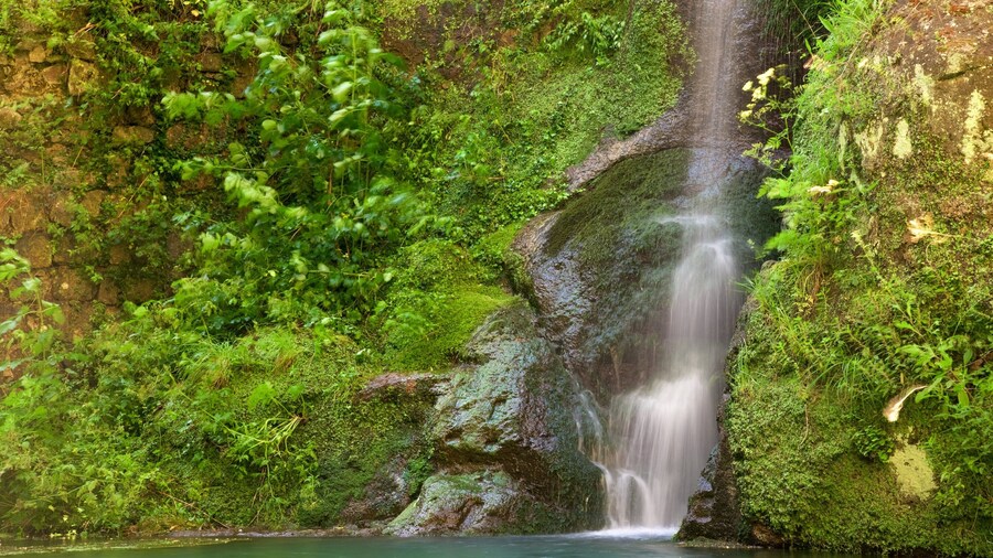 Palazzo Chigi-Albani