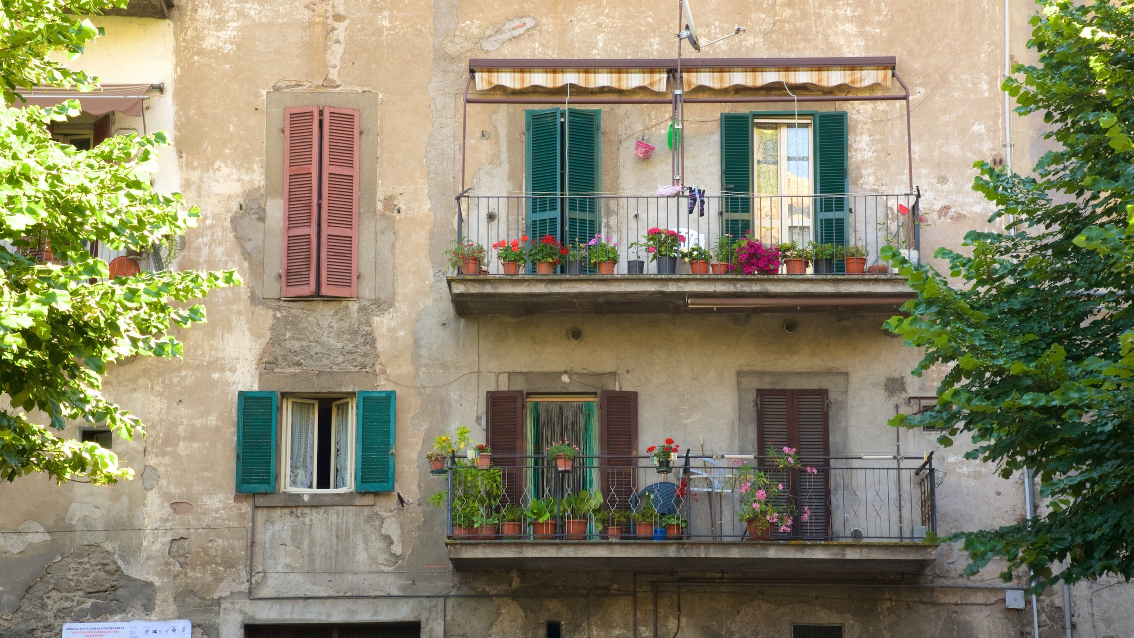 Palazzo Chigi-Albani featuring flowers and a house
