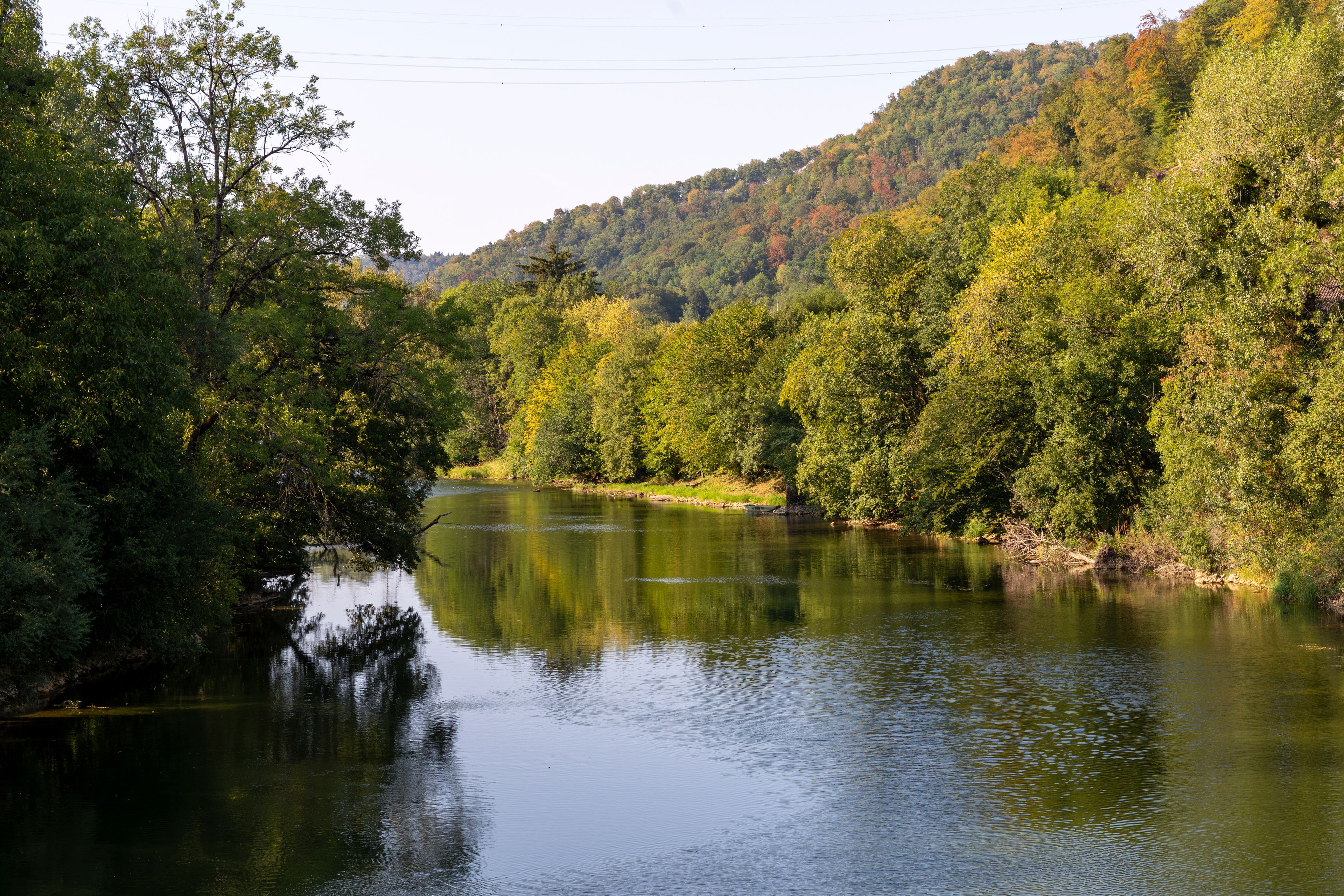 A calm river surrounded by dense green forest and hills.