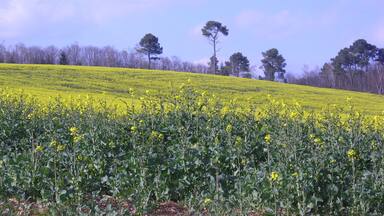 Coussac-Bonneval Grands Monts 067