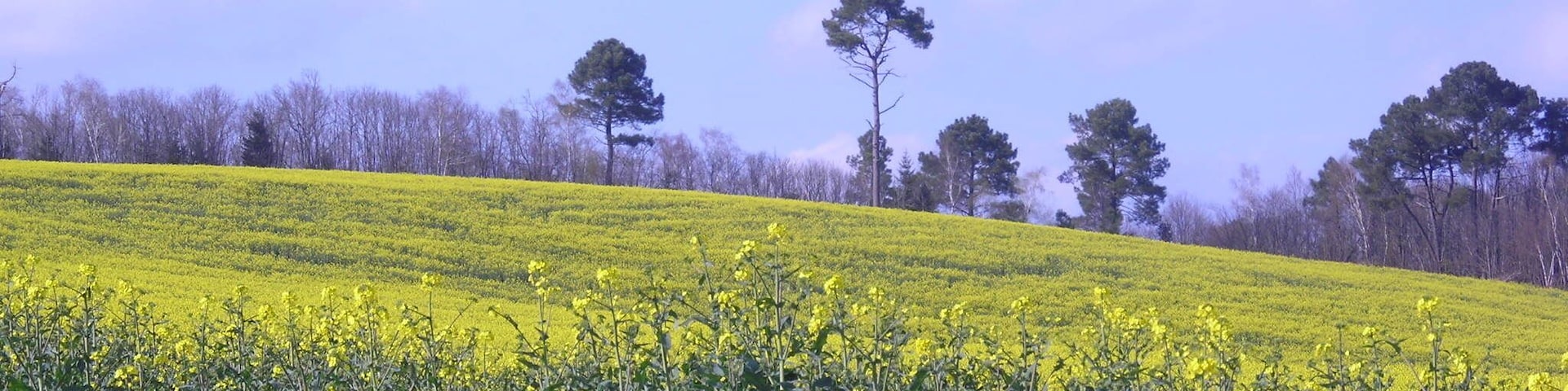 Coussac-Bonneval Grands Monts 067