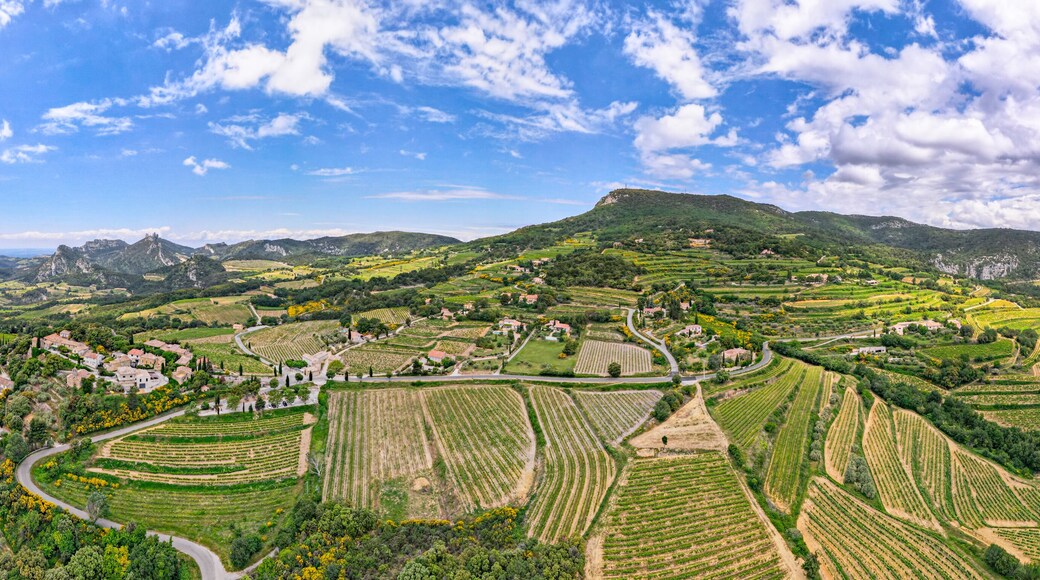 Aerial panoramic view of the vineyard in the Côtes du Rhône at the base of the Mont Ventoux beside les Dentelles de Montmirail