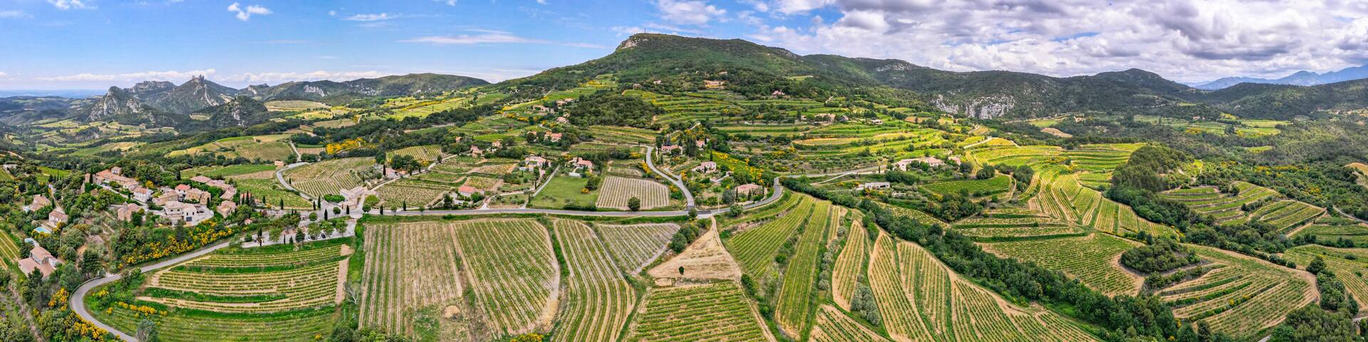 Aerial panoramic view of the vineyard in the Côtes du Rhône at the base of the Mont Ventoux beside les Dentelles de Montmirail