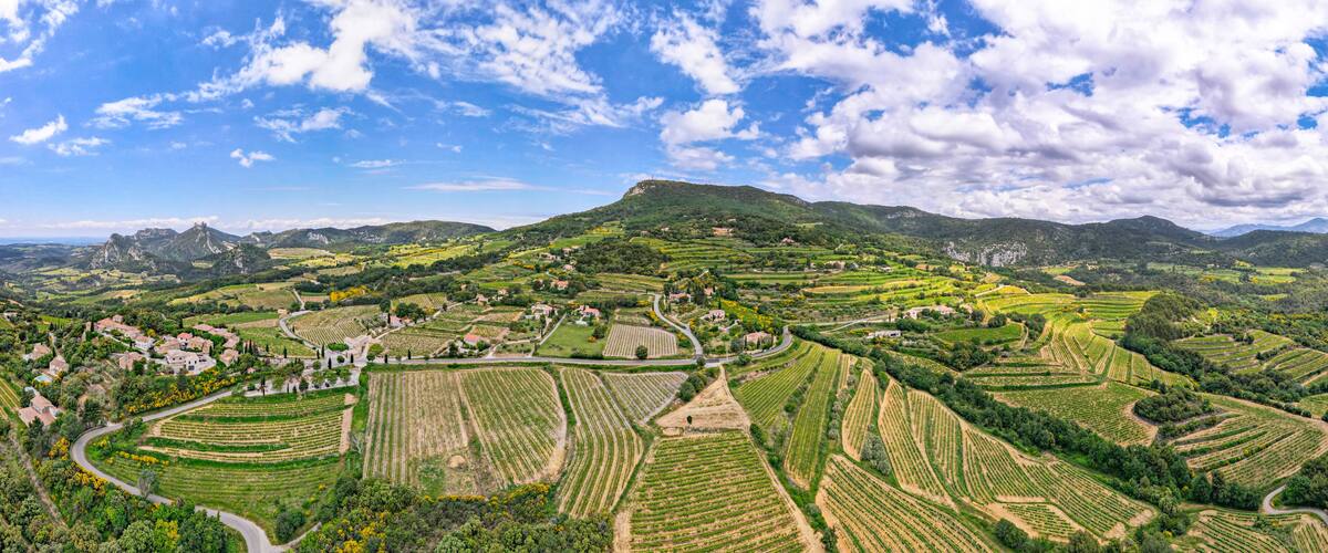 Terraced vineyards, rolling hills, and a castle-like structure.