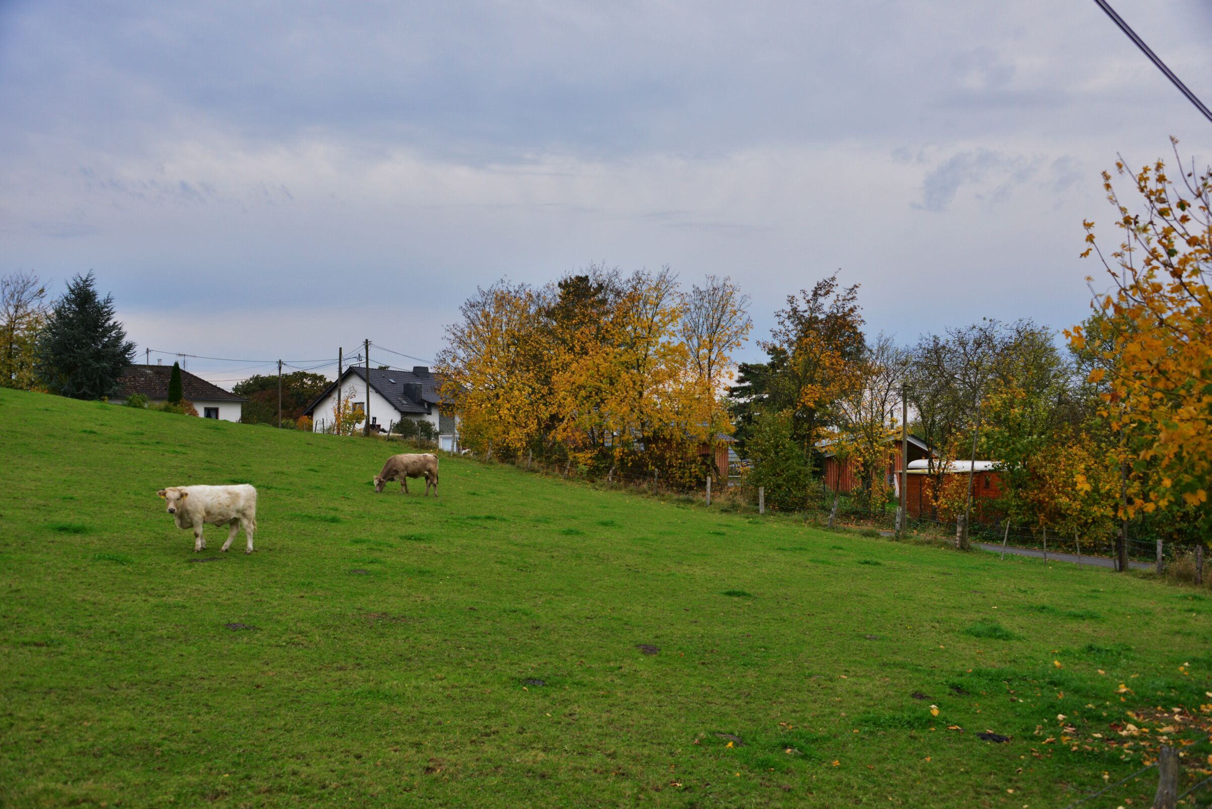 Balenbach - Ortsteil der Gemeinde Eitorf
