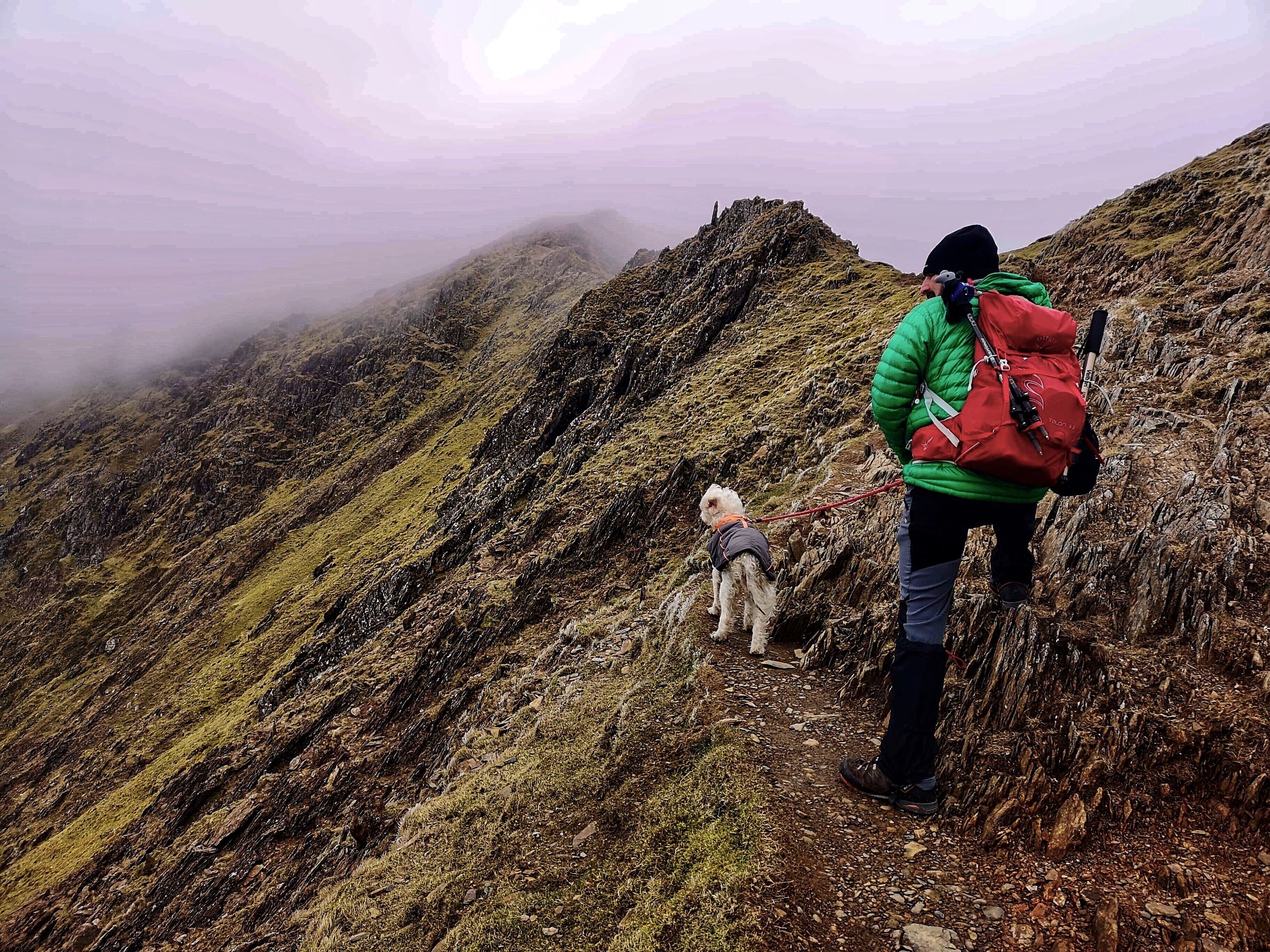 Ridge walking on the Snowdon Rhyd Ddu path to the summit 🏔🏴󠁧󠁢󠁷󠁬󠁳󠁿🐾