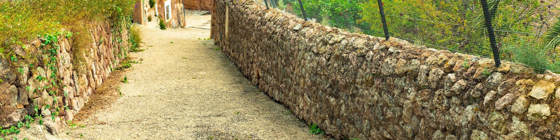 A stone pathway leading through a rural village with traditional buildings and lush greenery.
