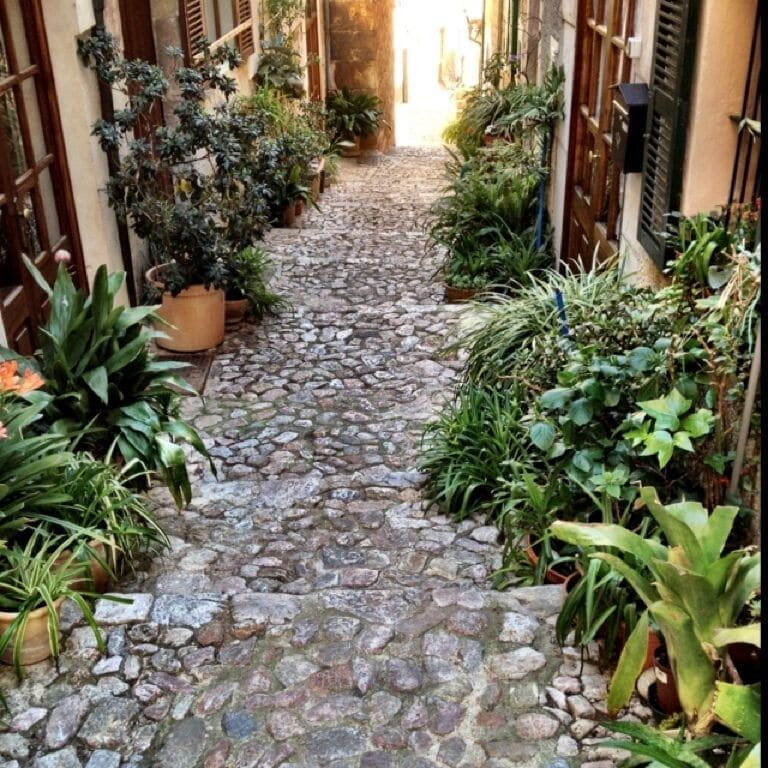 Litlle small streets with flowers 