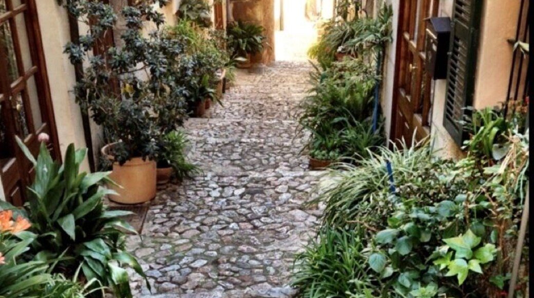 Litlle small streets with flowers