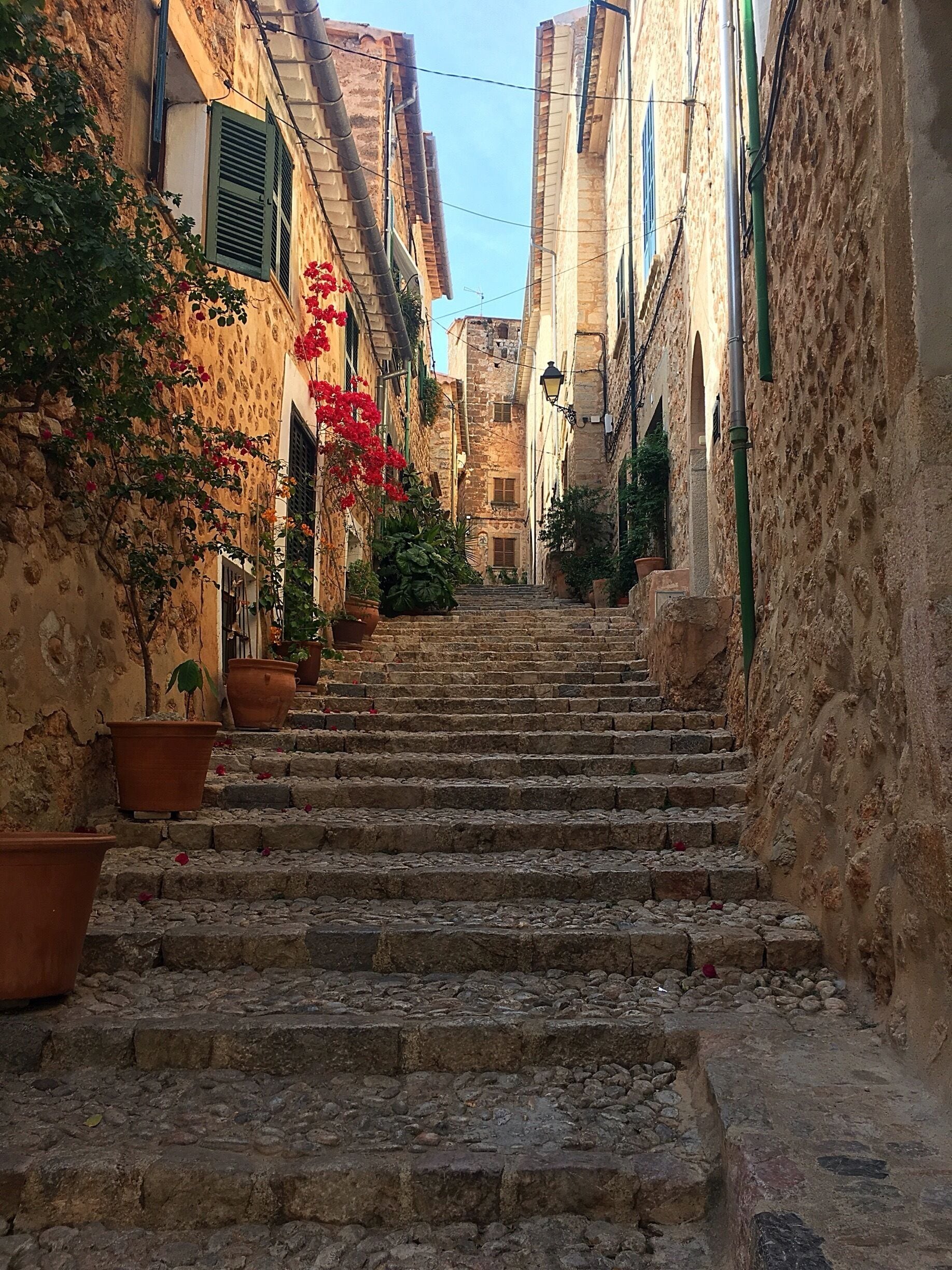 A stone staircase leading up a narrow street flanked by old buildings with terracotta pots and red flowers.
