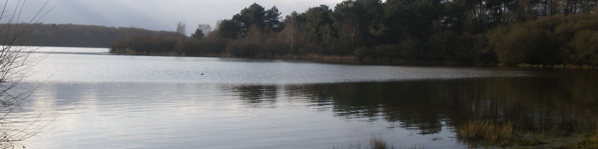 l'etang de tremelin
