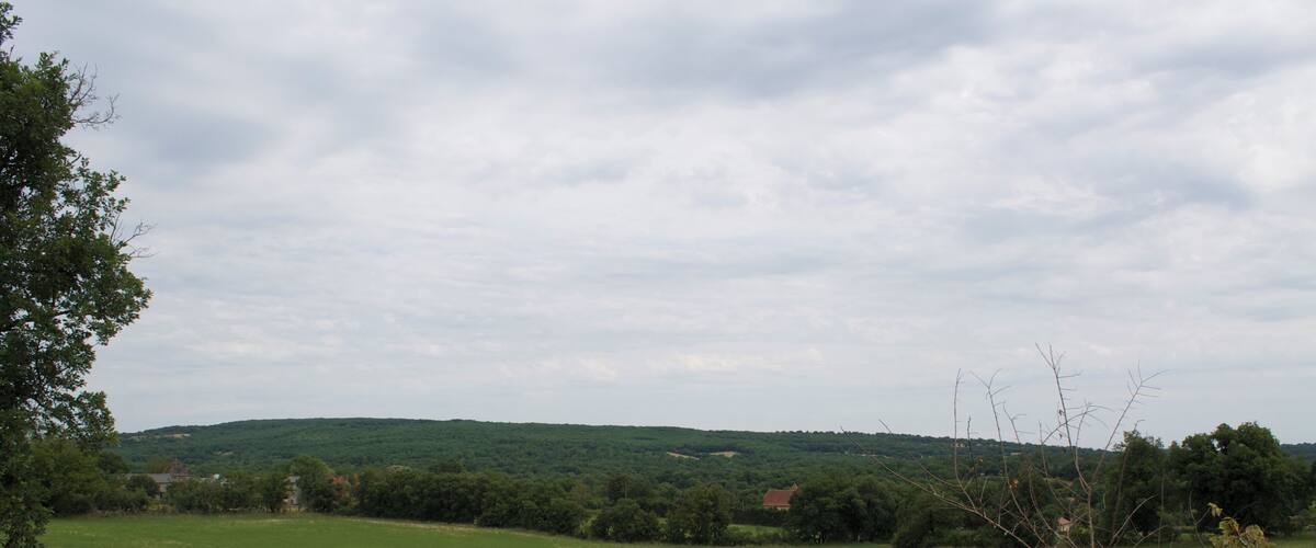A green field with trees and hills in the background.