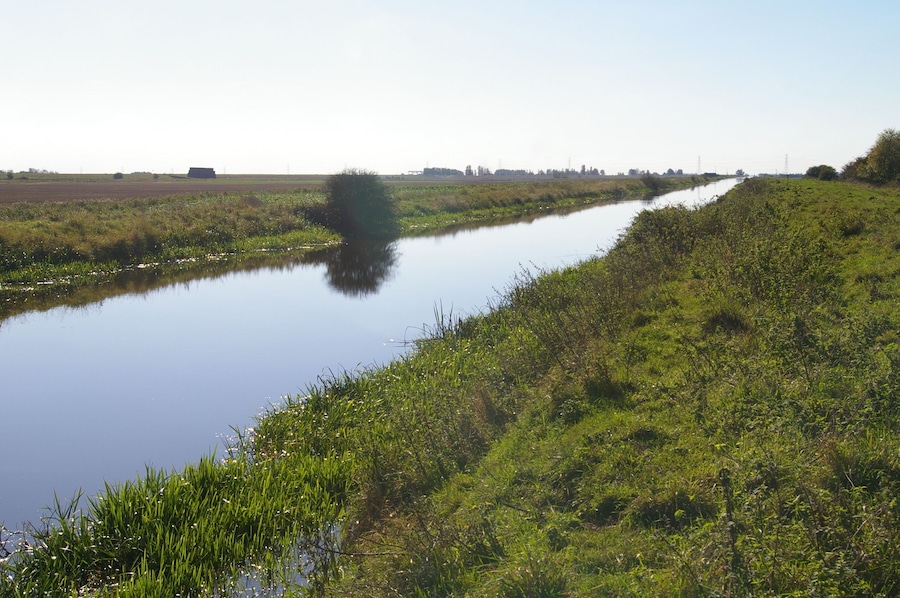 Old Bedford River This is the view upstream, near the Old Bedford's confluence with the River Great Ouse.