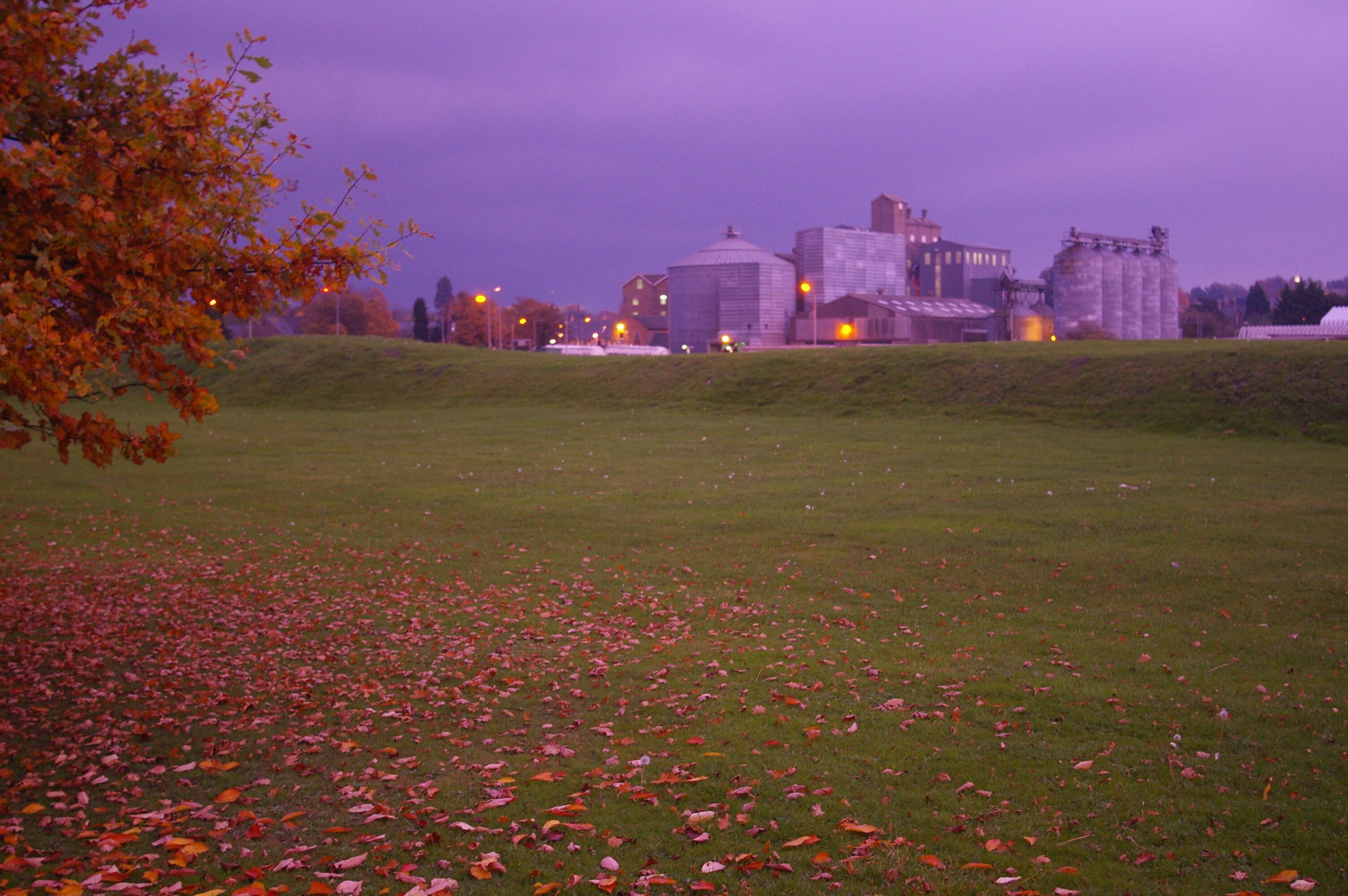 Heygates Mill at dusk For people arriving by train, the mill dominates one's impression of Downham Market. It's similarly dominating when approaching from the west along the A1122.