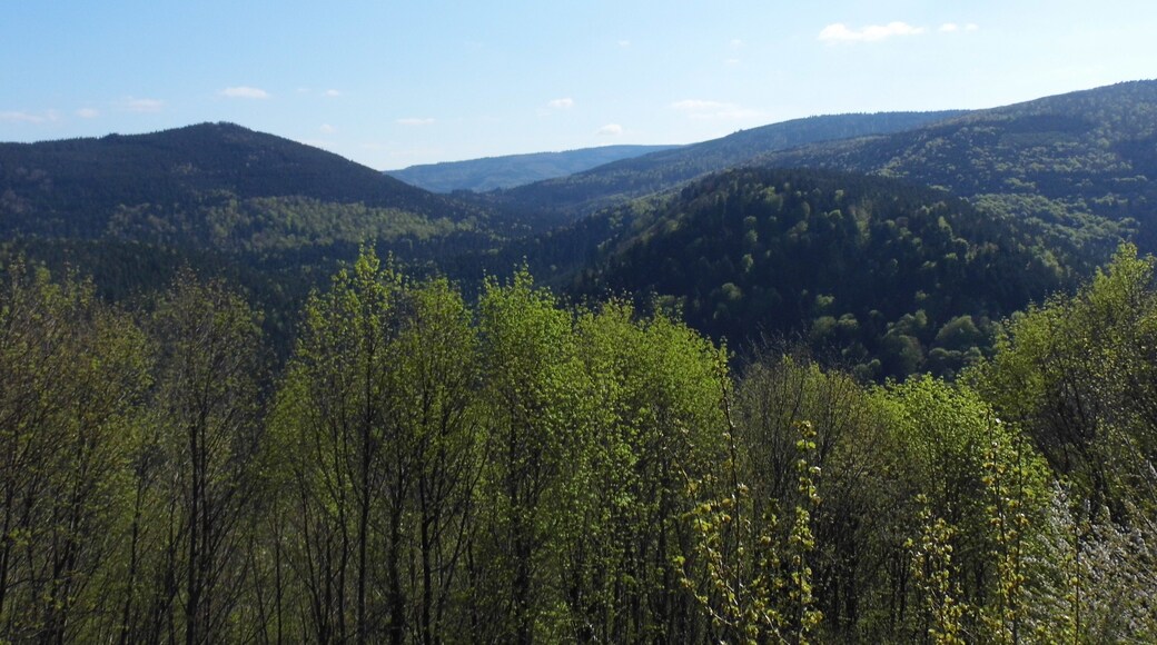 château de Guirbaden