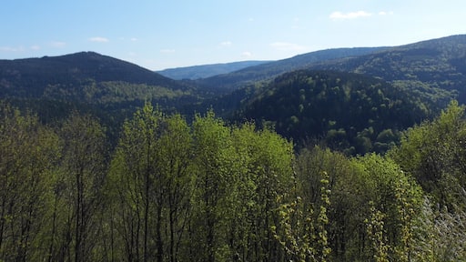 château de Guirbaden
