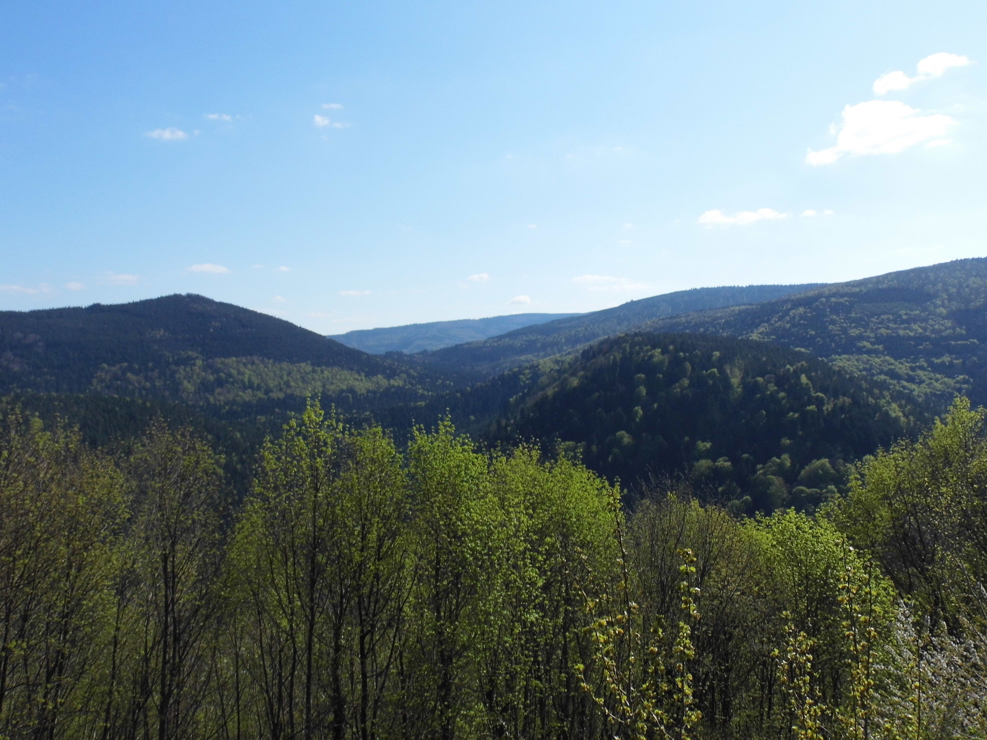 A mountainous landscape with dense forests and clear blue skies.