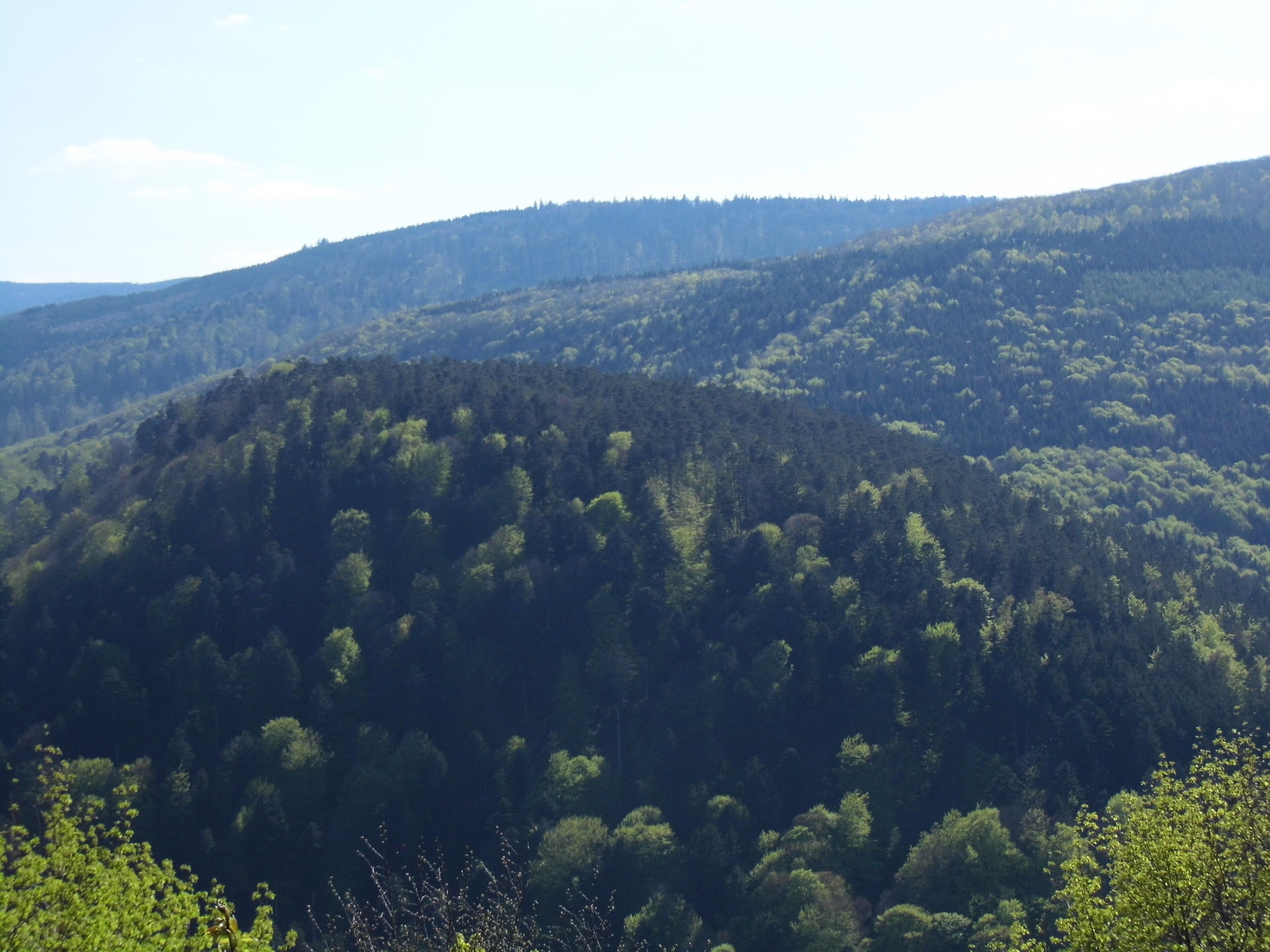 château de Guirbaden