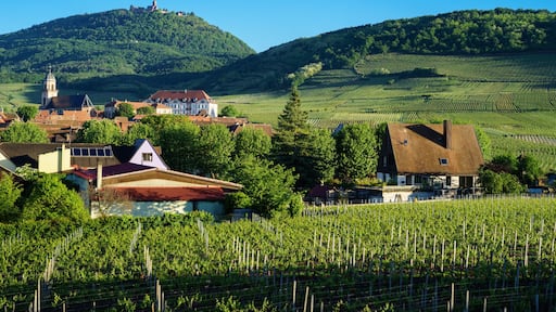 F, Elsaß, Saint-Hippolyte, Blick auf Kirche, Schloß und die Burg Hochkönigsburg (Haut Koenigsbourg)