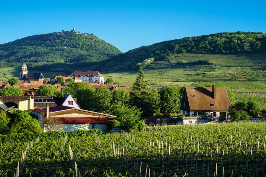 F, Elsaß, Saint-Hippolyte, Blick auf Kirche, Schloß und die Burg Hochkönigsburg (Haut Koenigsbourg)