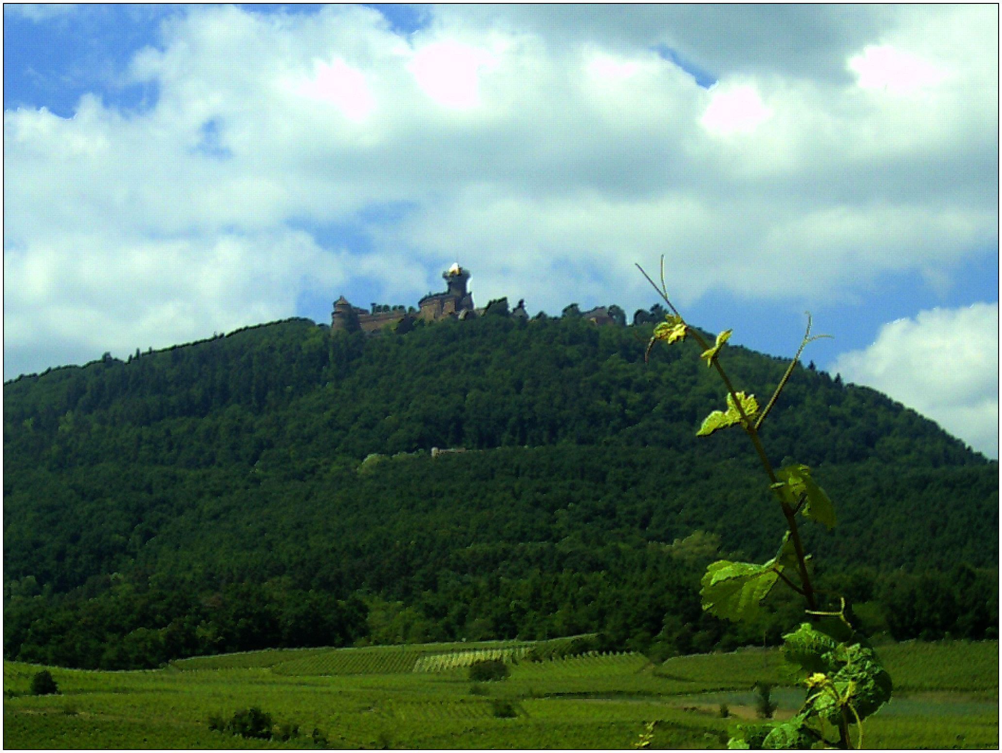 May France Präfectur Colmar Department Haute-Rhine - Alsace magic Elsaß Photography 2014 Château Haut-Koenigsburg Vosges
