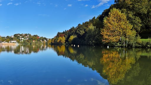 Saint-Pee-sur-Nivelle