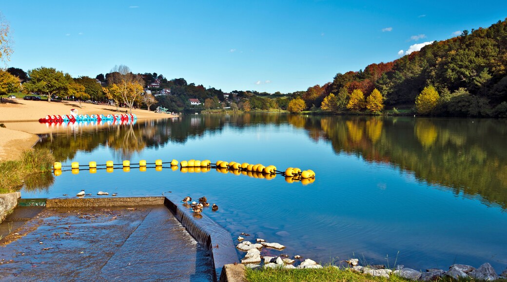 Saint-Pée-sur-Nivelle