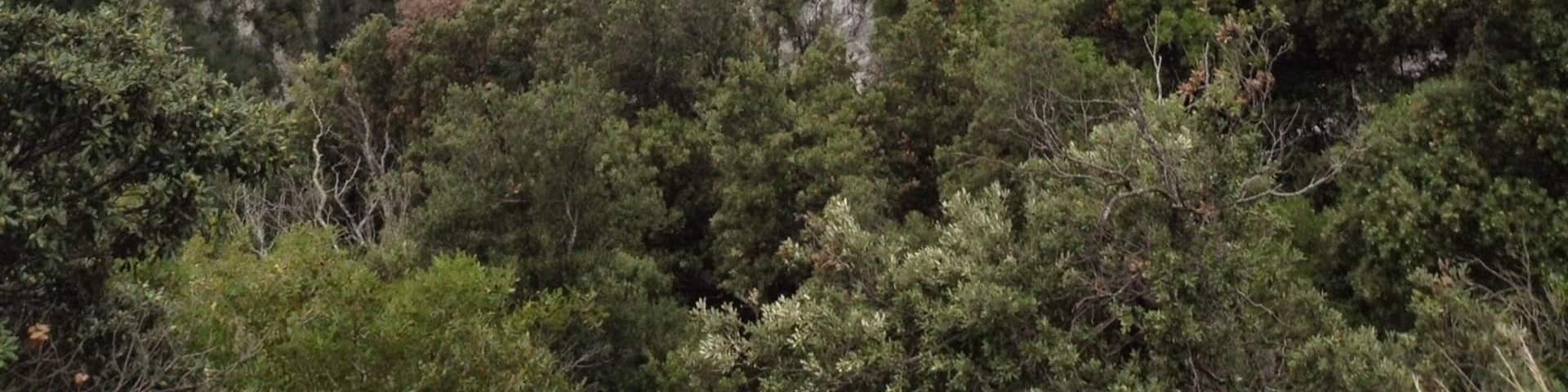 66220 Saint-Paul-de-Fenouillet, France