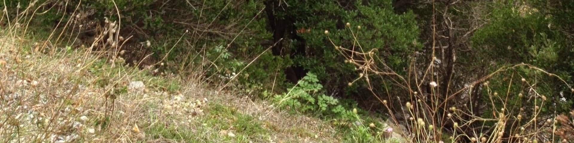 66220 Saint-Paul-de-Fenouillet, France