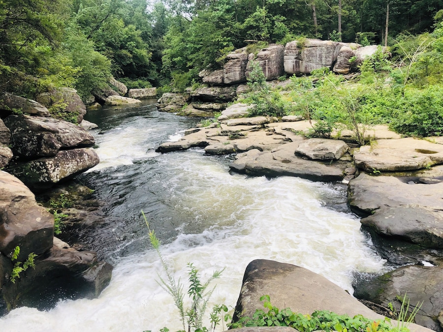 Kayaking Bear Creek