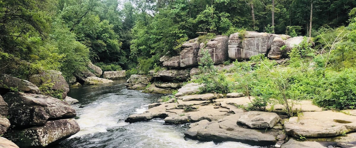 A river flowing through a rocky gorge surrounded by dense green foliage.