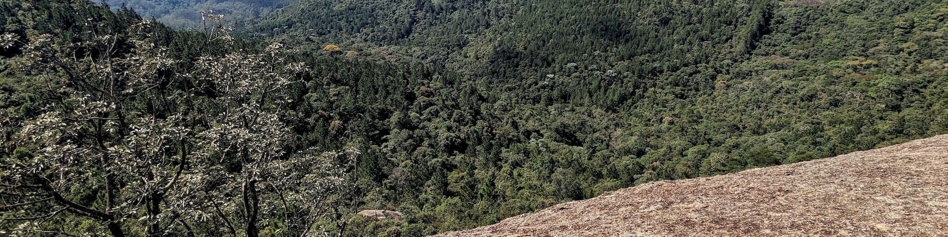 Cantareira State Park in Mairiporã, Brazil