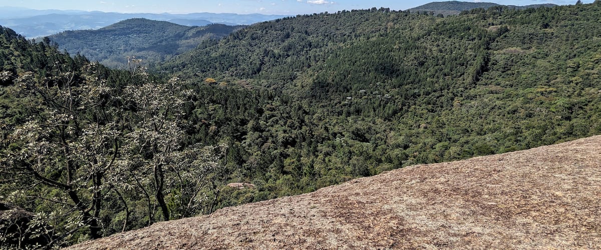 A mountainous landscape with dense forests and a clear sky.