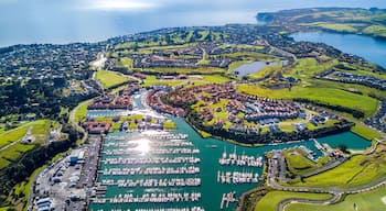 Gulf Harbour