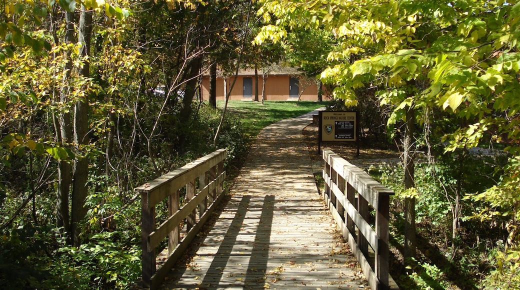 Decatur featuring a bridge and forest scenes