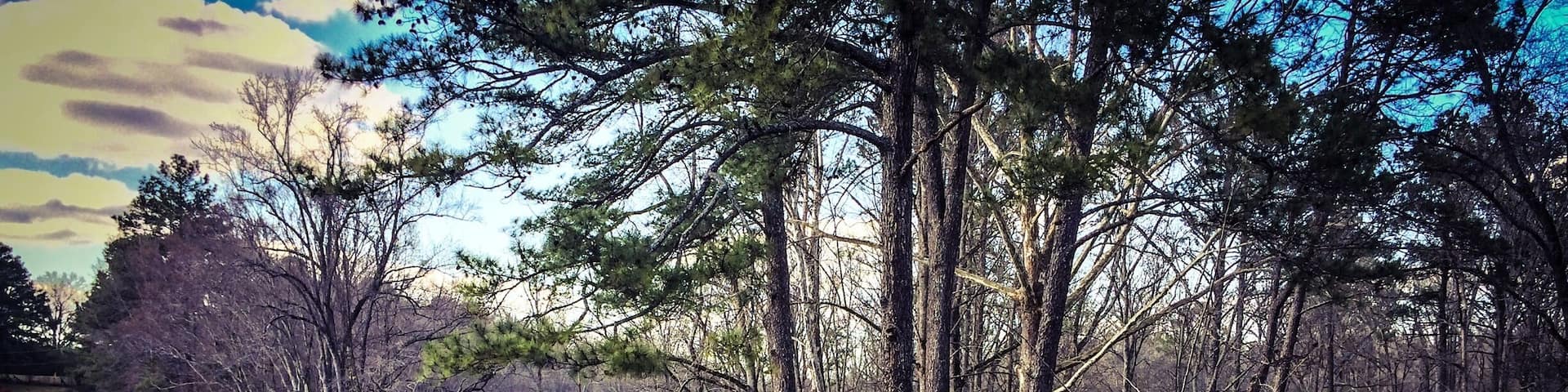 This 270 ft covered bridge was built in 1921 and the only remaining bridge of it's kind in Cullman County. It was used mainly by farmers. It spans the Crooked Creek, site of Civil War Skirmishes under Nathan Bedford Forrest. Many relics have been found around this creek and can be viewed at the museum just down the road. This bridge is open to foot traffic and also offers picnic areas and walking trails. An old water mill is located on the property too. #roadtrip