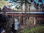 This 270 ft covered bridge was built in 1921 and the only remaining bridge of it's kind in Cullman County. It was used mainly by farmers. It spans the Crooked Creek, site of Civil War Skirmishes under Nathan Bedford Forrest. Many relics have been found around this creek and can be viewed at the museum just down the road. This bridge is open to foot traffic and also offers picnic areas and walking trails. An old water mill is located on the property too. #roadtrip