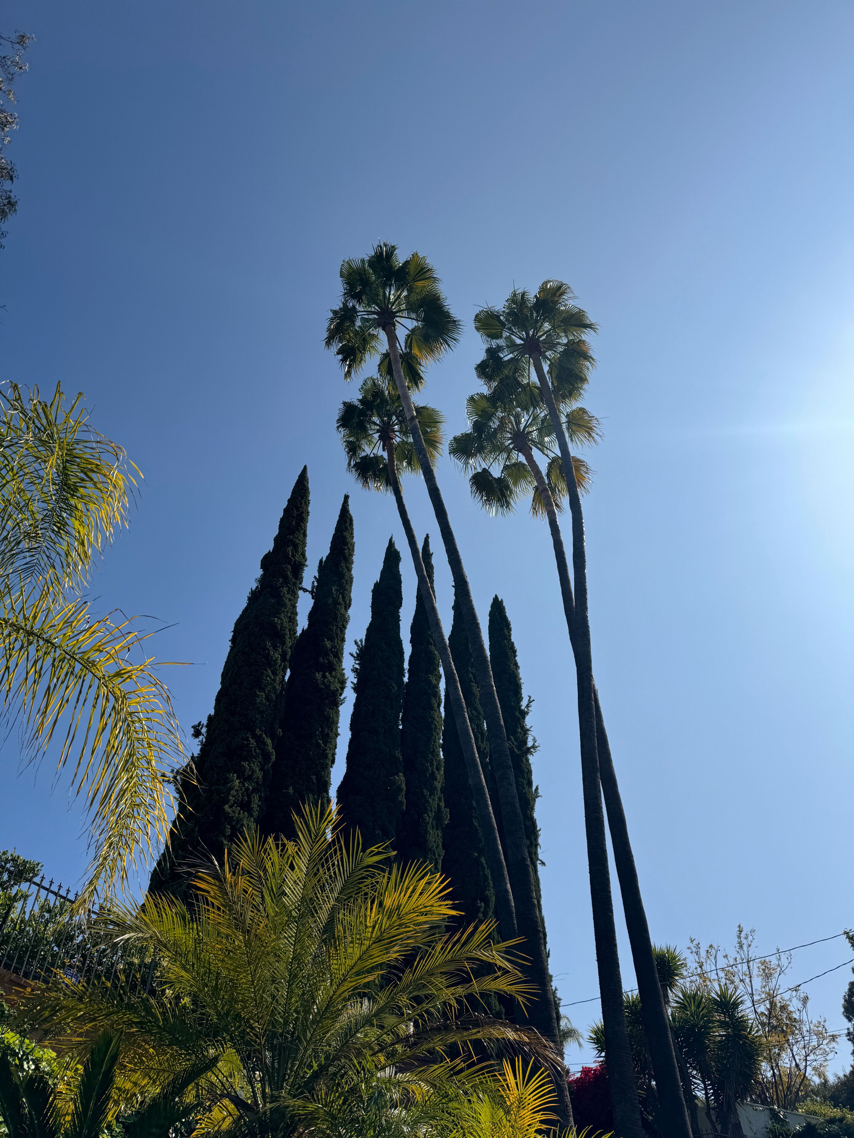 Hawaiian Gardens