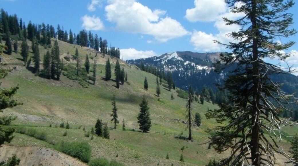 I grew up outside of this wondrous park - there are a multitude of drives and hikes to enjoy here. Their motto is fittingly, "Go hike a volcano!"
